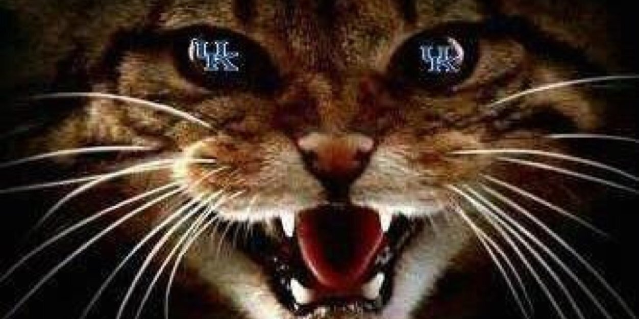 randyf12's profile banner image