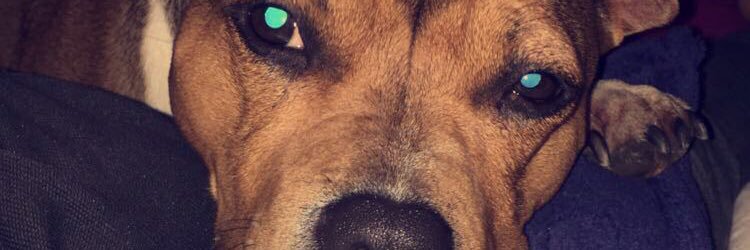 FirlyJ's profile banner image