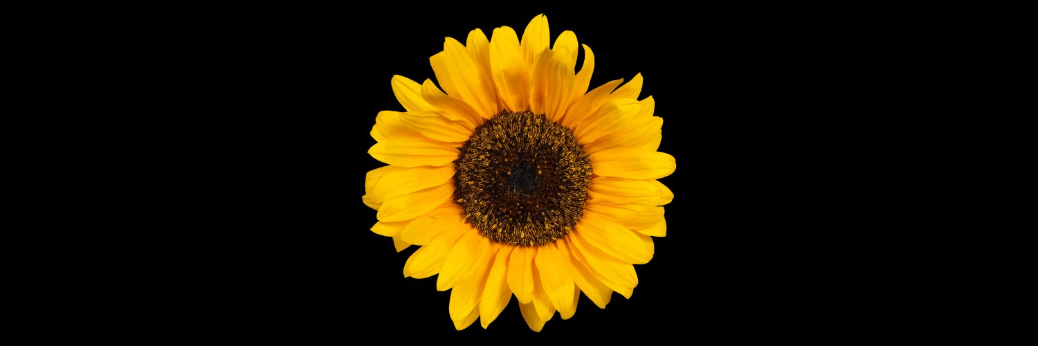 CulturalCurator's profile banner image