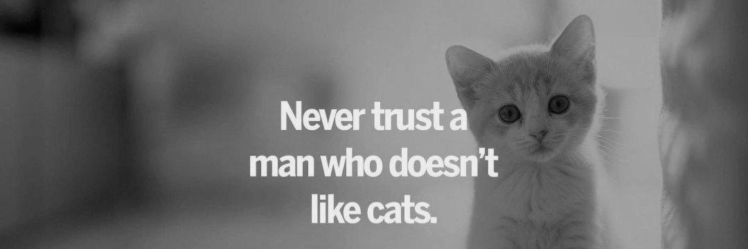 ANGEL |parody| ♡ banner