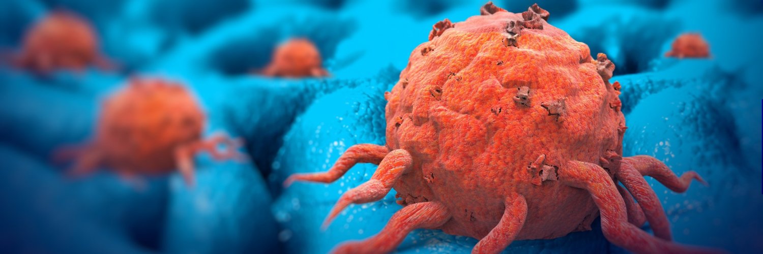 Steve Clifford banner