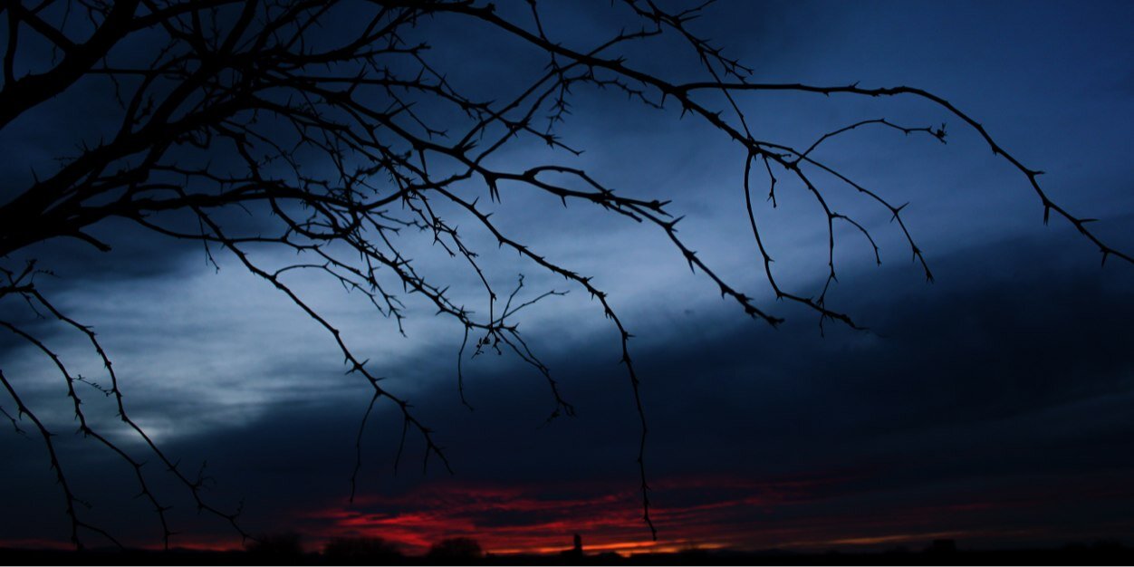Carlitos_Hell's profile banner image