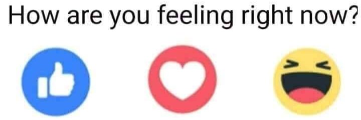 The Stubborn Luddite banner