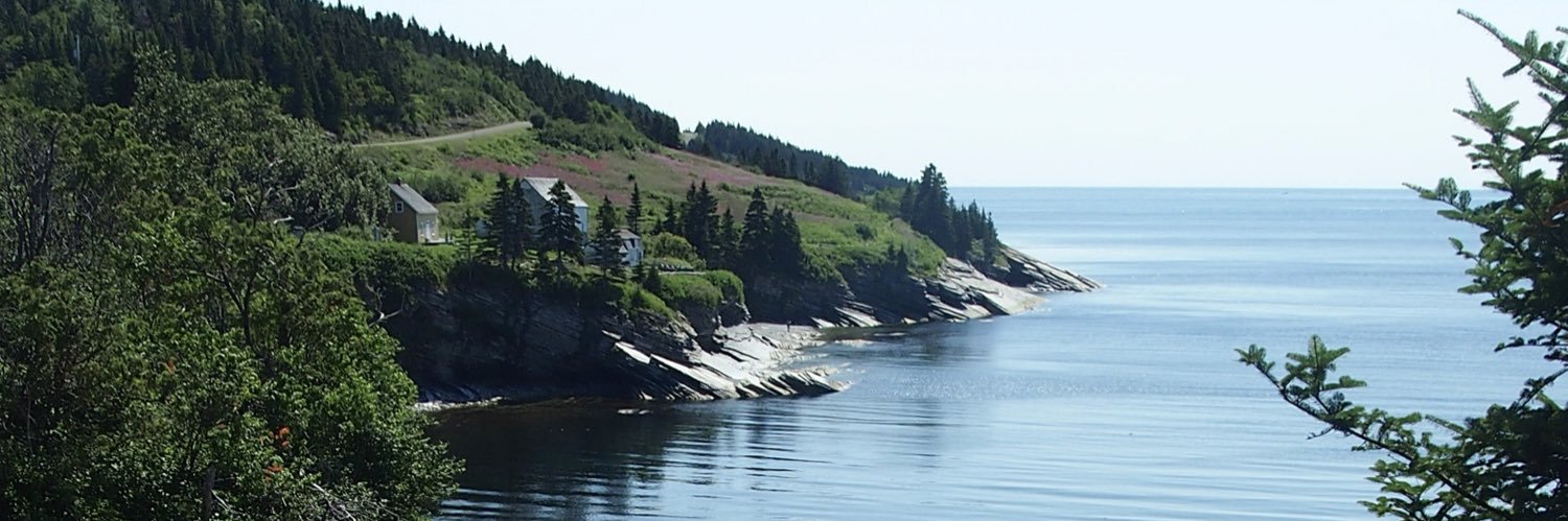 alexguev banner