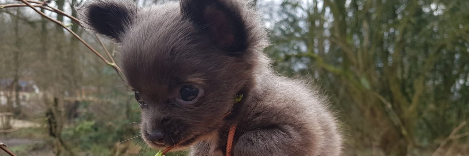 CryptoAvalanche7 0% Listed | 1️⃣ ETH 🔜 📈 banner