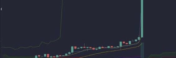 $DOG🐈‍⬛ banner