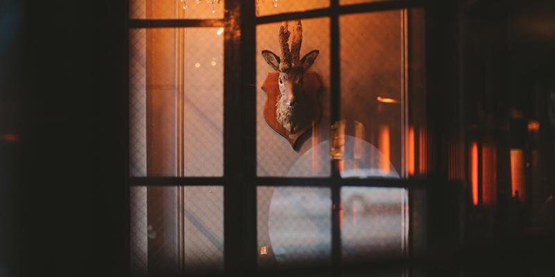 nathanmichaelis's profile banner image