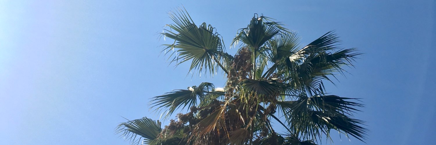 grrats's profile banner image