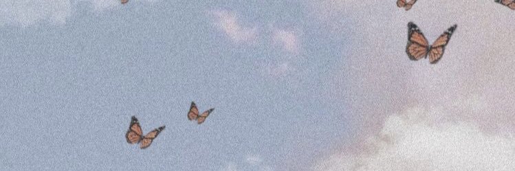 __alvesn's profile banner image
