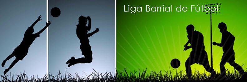 ligabarrial's profile banner image