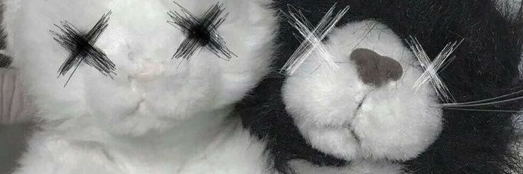 crunchyyflour's profile banner image