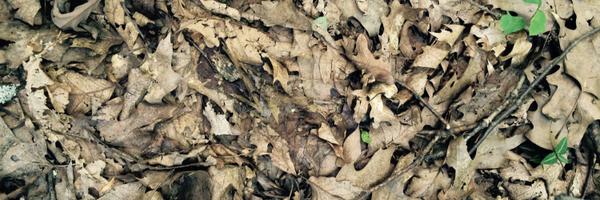 stevenlmiller_m Profile Banner