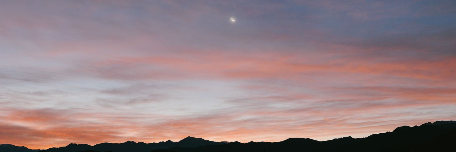 nsachy's profile banner image