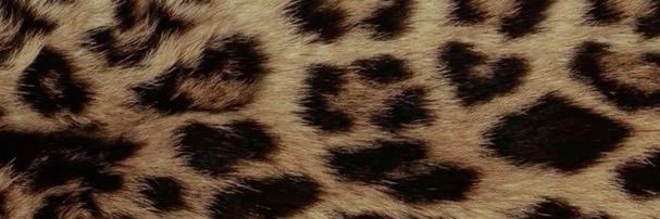 tay’s in barbieland ୨ৎ 🖤 banner