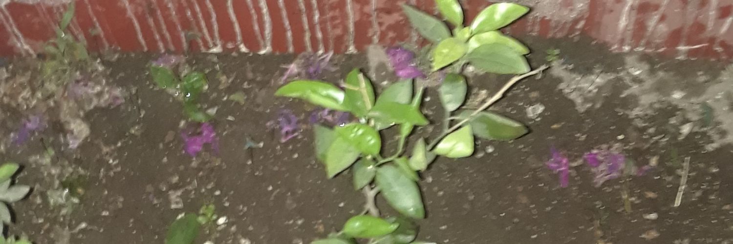 beabea17_'s profile banner image