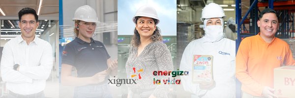 Xignux Profile Banner