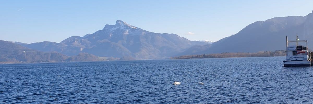 serapbenzes's profile banner image