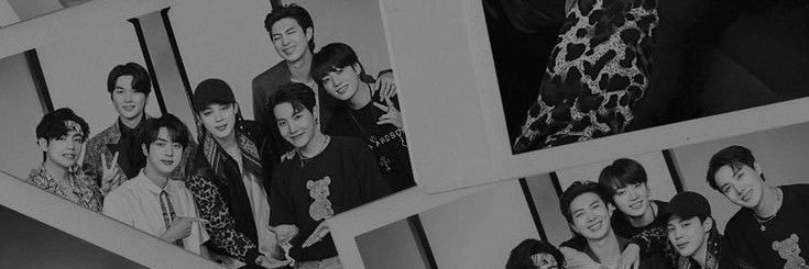imarp ⁷ banner