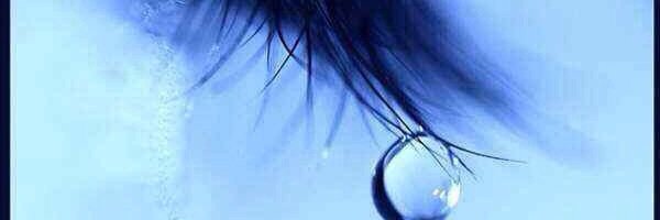 alabdullah_eman's profile banner image