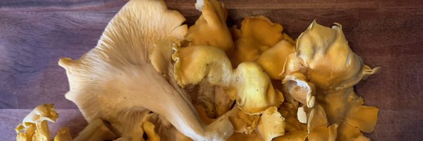 MullrichMichael Profile Banner