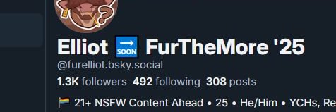 Lionburger @ BSKY banner