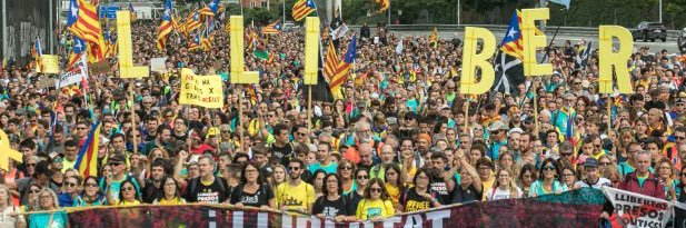 Consell Local Sant Cugat's banner
