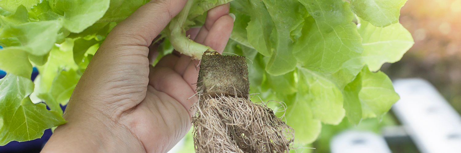 🌿Vertical Farming Podcast - Season 12! banner