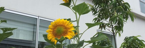 moheji1500 Profile Banner