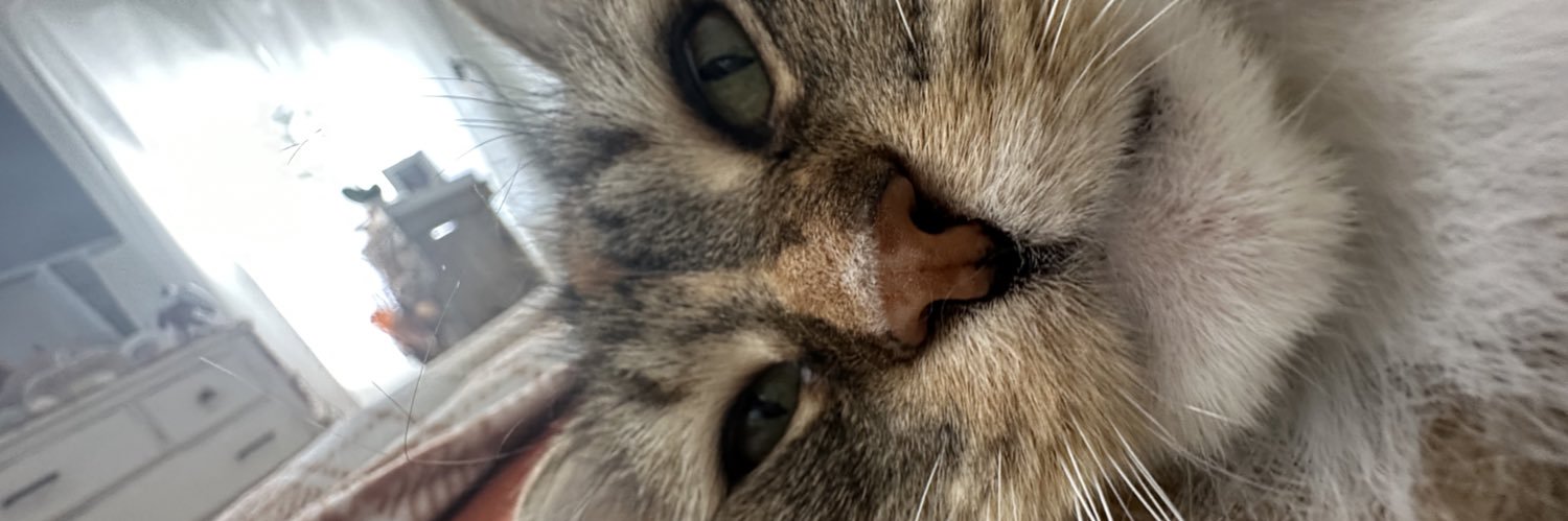 BethDehmer's profile banner image