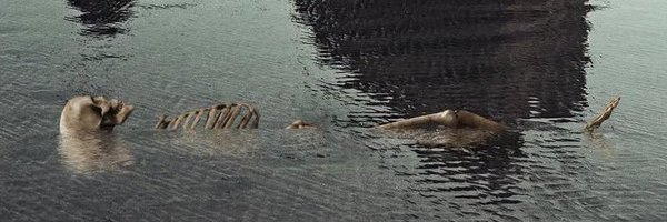 AADAS1MP Profile Banner