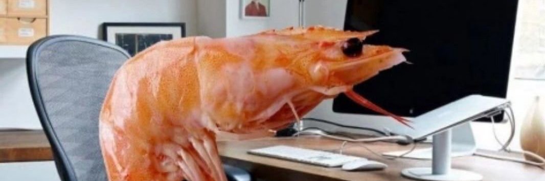 sleepyfuk's banner