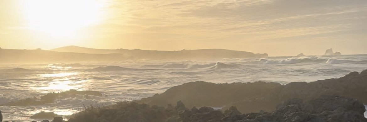 Patri__698's profile banner image