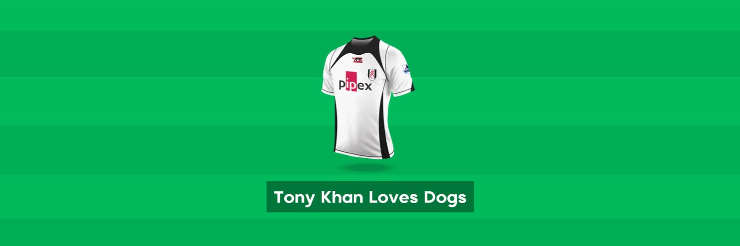 Fulham Fanatic banner