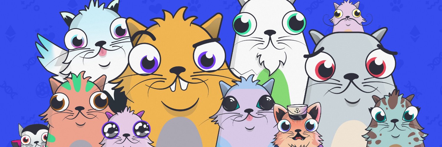 meta_fanatic's profile banner image