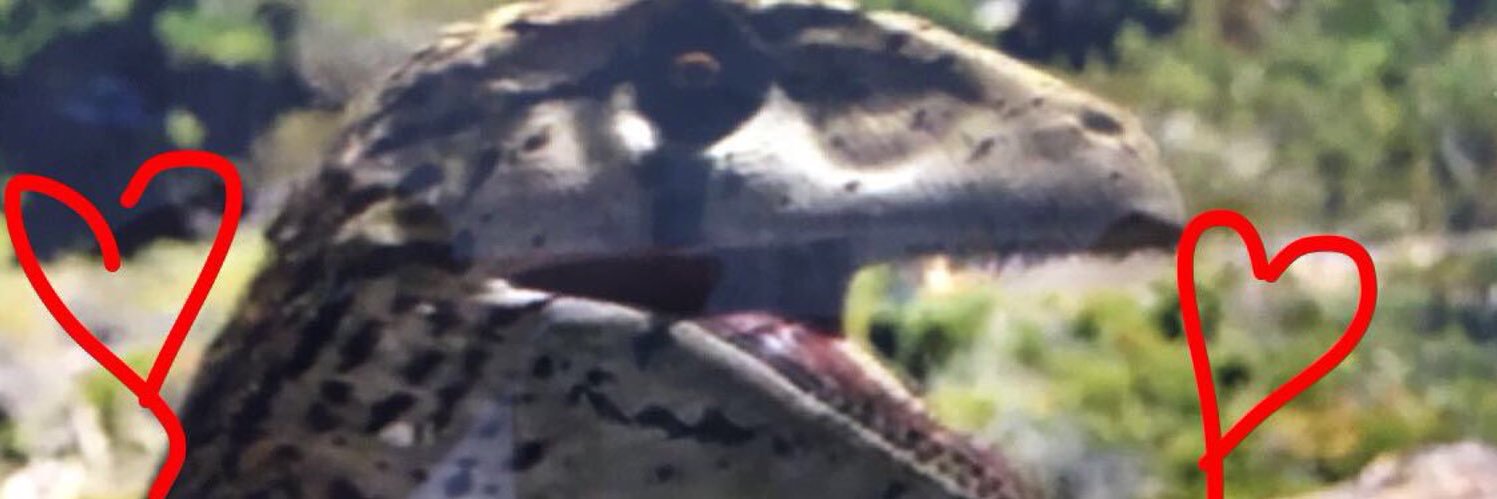 phebhoopz's profile banner image