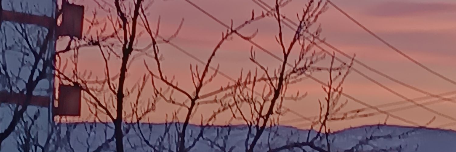 ssseevvgii_'s profile banner image