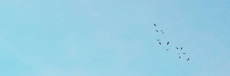 aycaktass's profile banner image
