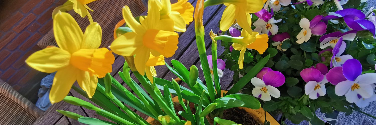 Helga Bruining banner