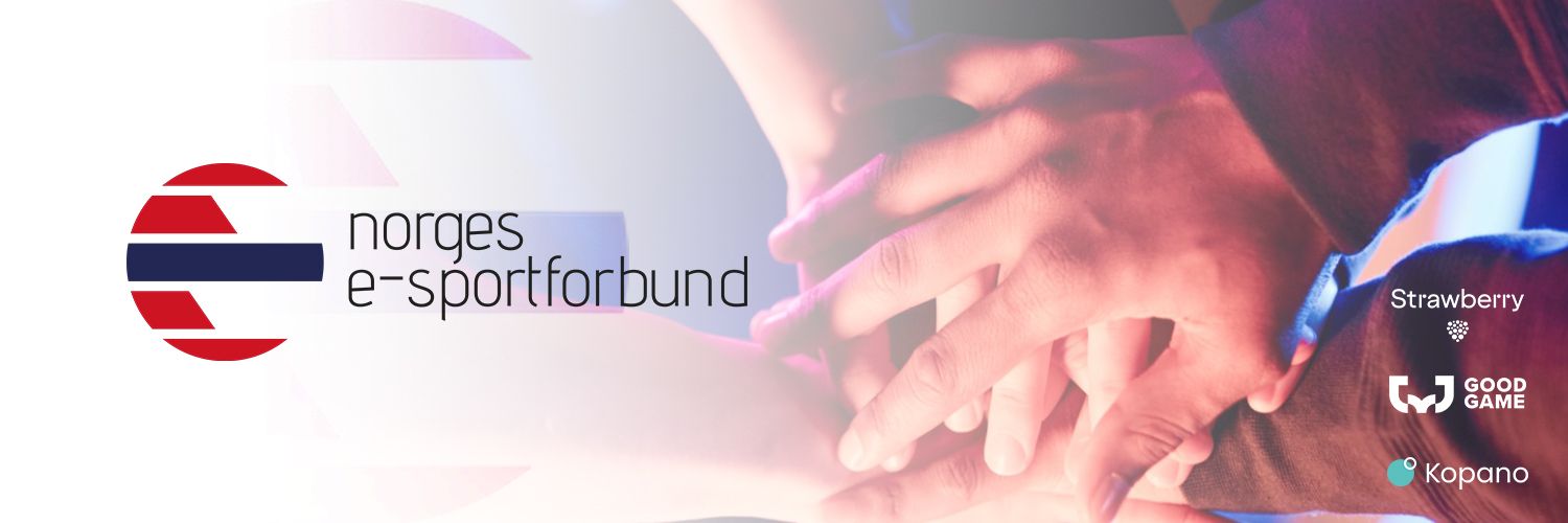 Norges E-sportforbund banner