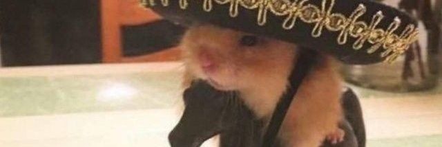 접경도시부랑자 banner