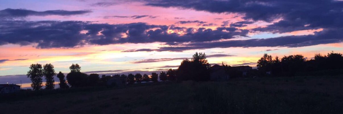 alefanti98's profile banner image