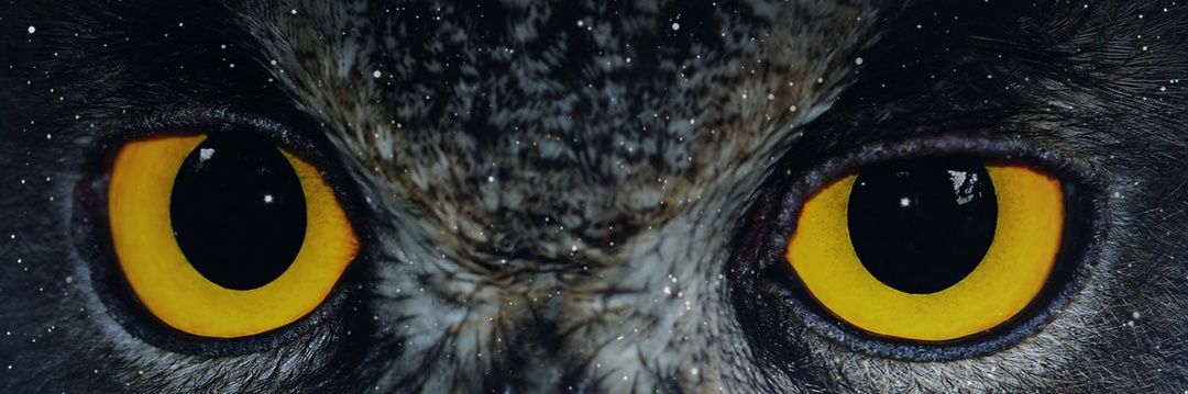 khan_amoo's profile banner image