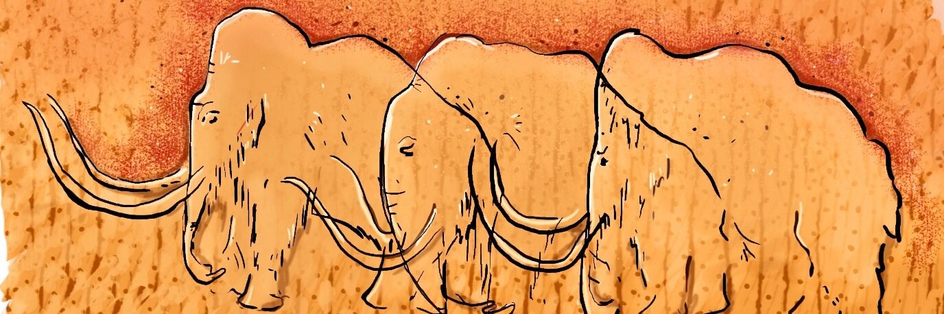 TabithaPaterson's profile banner image