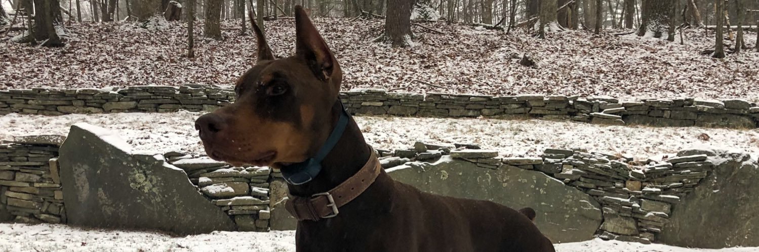 Canogreatstuff banner