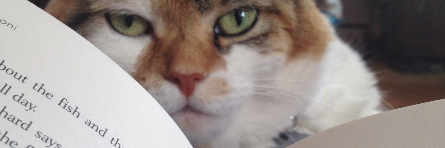 BitsyItsyandBoo's profile banner image