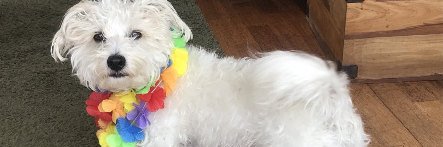 Mark Kinsella banner