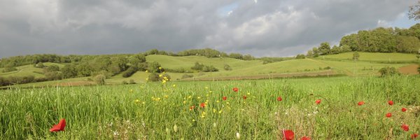 brunhild K Profile Banner