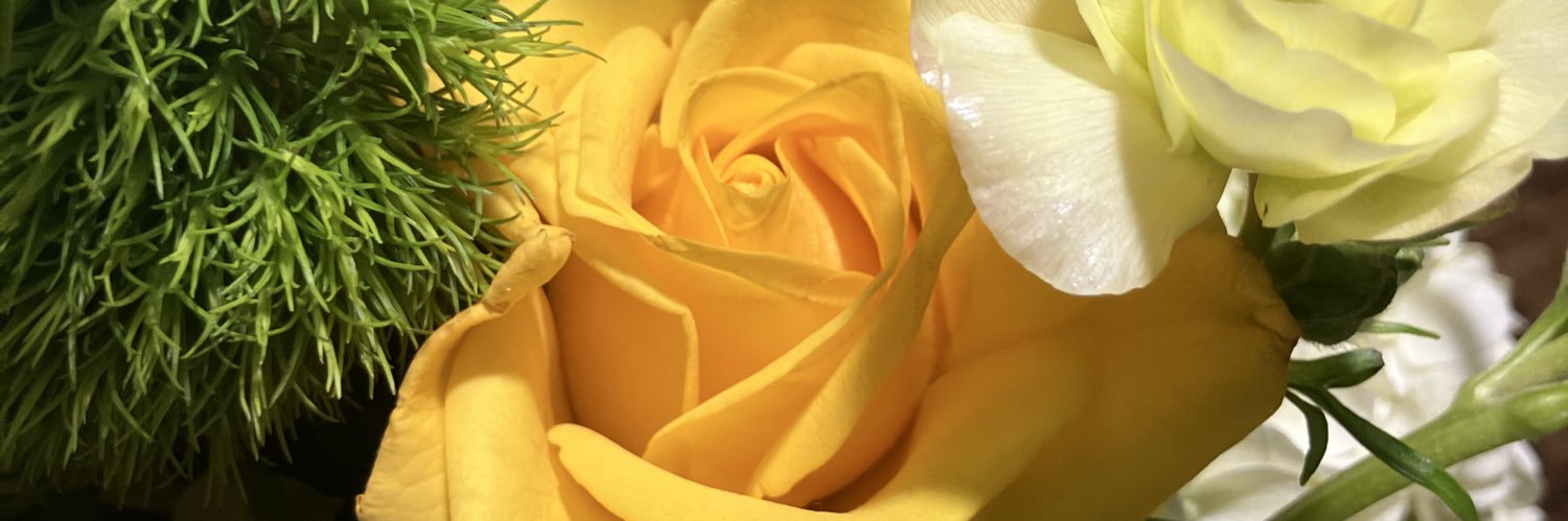 ayee_ashanta's profile banner image