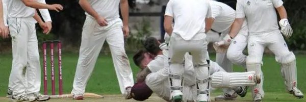 CricketRustling Profile Banner