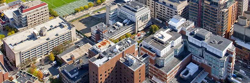 BIDMC Vascular & Endovascular Surgery's banner